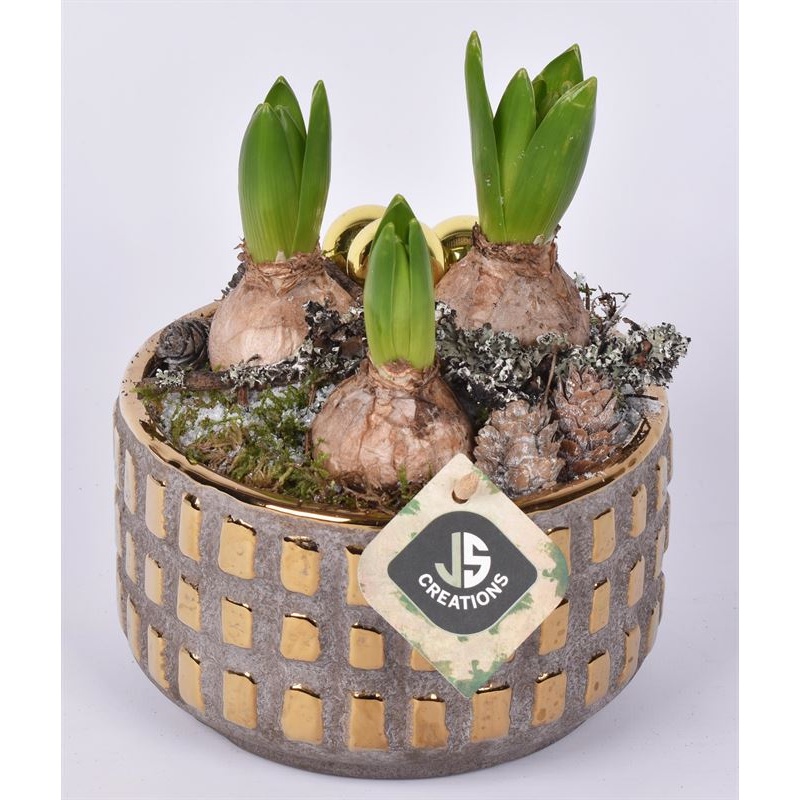 Arr. Hyacinthus ceramic bowl block decor 16cm