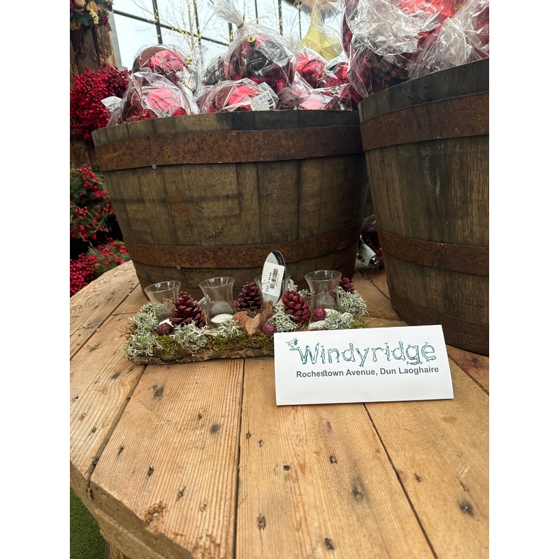 Christmas L Arrangement Plateau Mixed 3 Colours