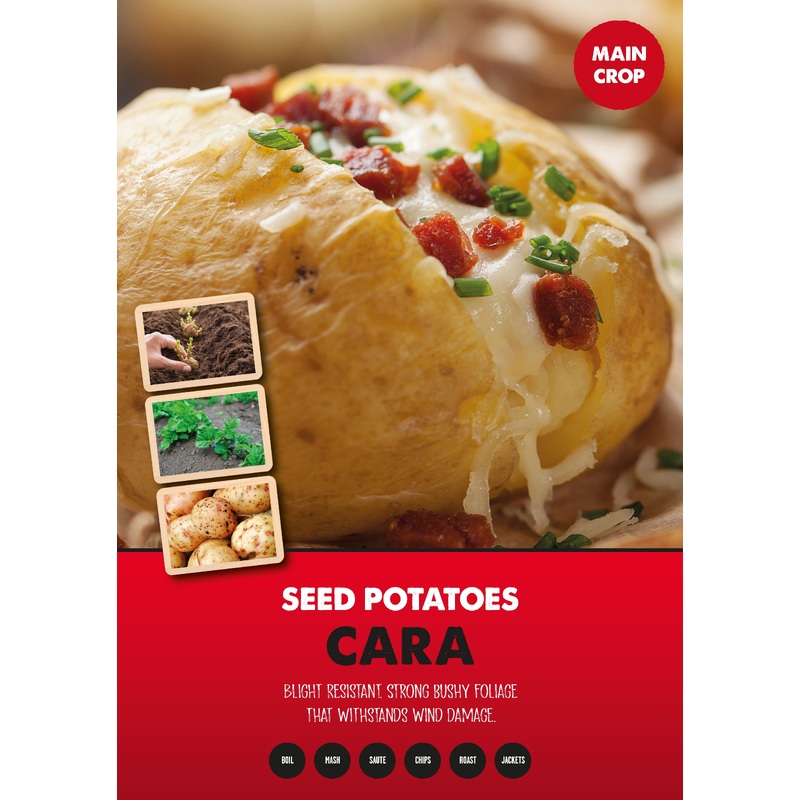 MAIN CROP CARA 2 KG NETS