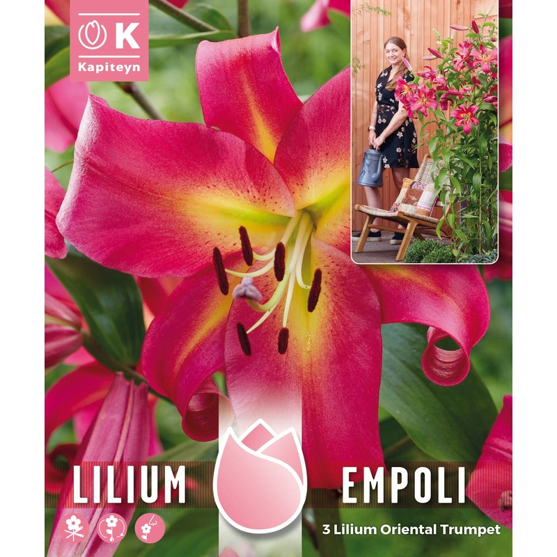 TREE LILIUM PACK EMPOLI x 3