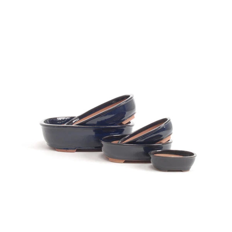 BONSAI BLUE POT 25cm OVAL