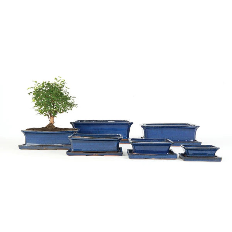 BONSAI BLUE RECTANG SAUC 15cm