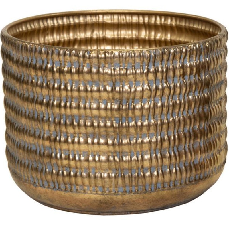 Hadad Notch Cyl. Gold 40 H30