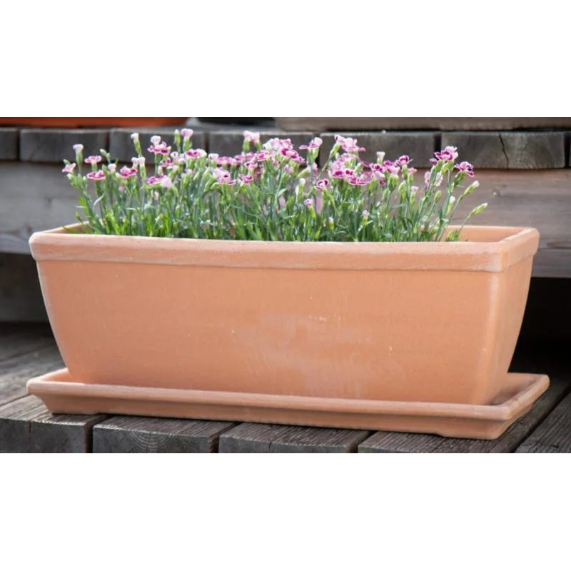 Antique rectangular Saucers 42 x 19xm