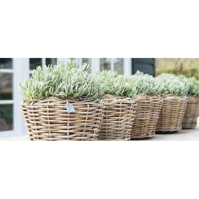 Basket Rattan Pot Round Grey 36cm H35cm