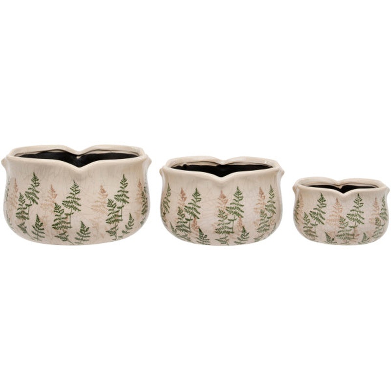 Round Scallop Fern L 25cmDx14cmH