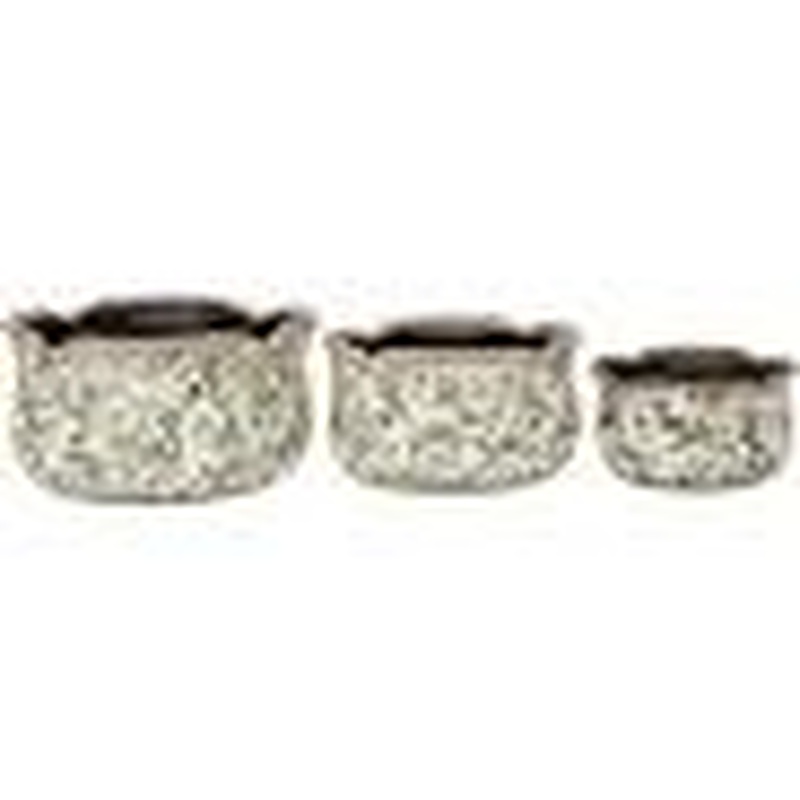 Round Scallop Fern S 16cmDx9cmH