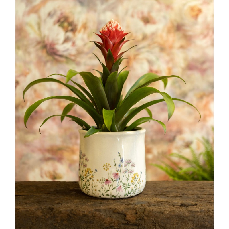 Springtime Pot S 12cm x H12cm