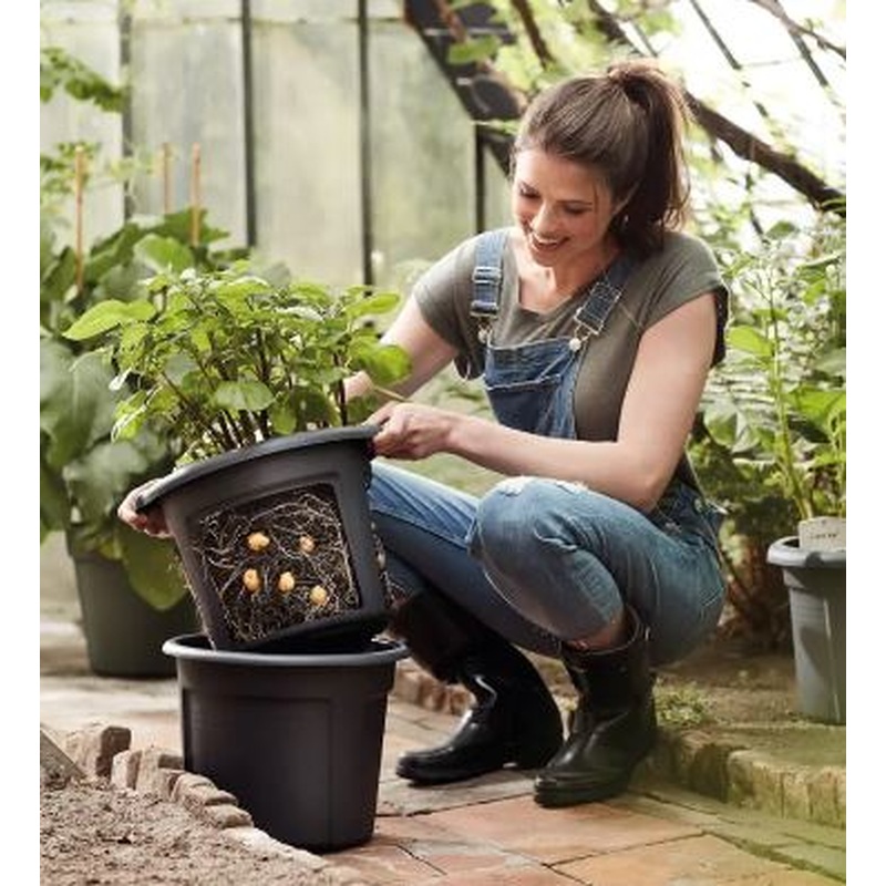 Green Basics Potato Pot 33cm Living Black