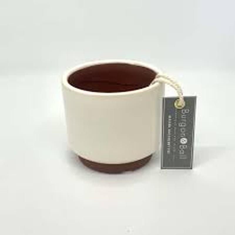 Malibu Succulent Pot - Cream