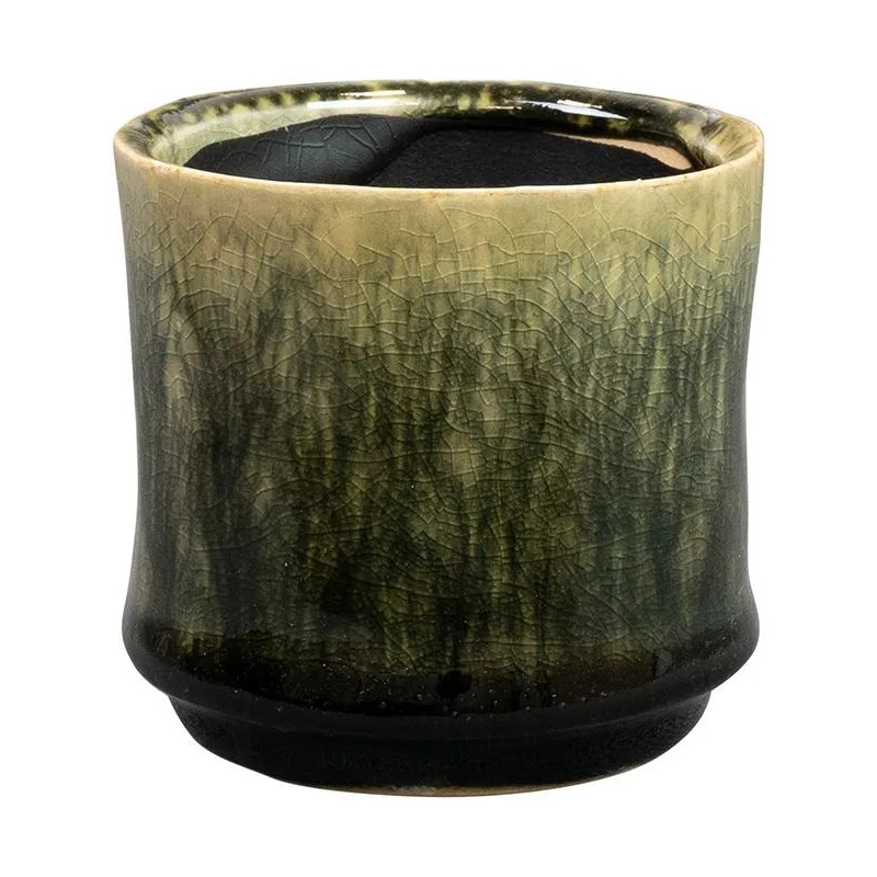 Nolan Plant Pot 7cm Height 6cm Dia Pot Pine