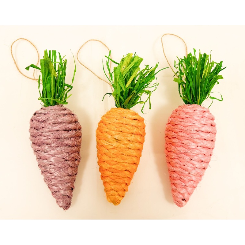 PASTEL CARROT HANGER 3 ASSORTED