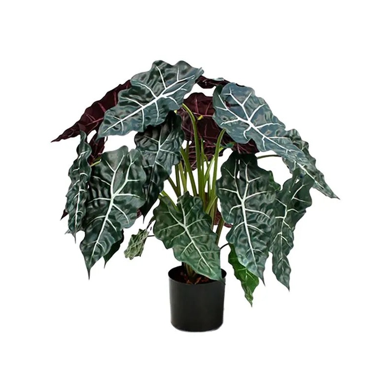 Alocasia Polly Artificial Plant Premium Faux 75cm Height