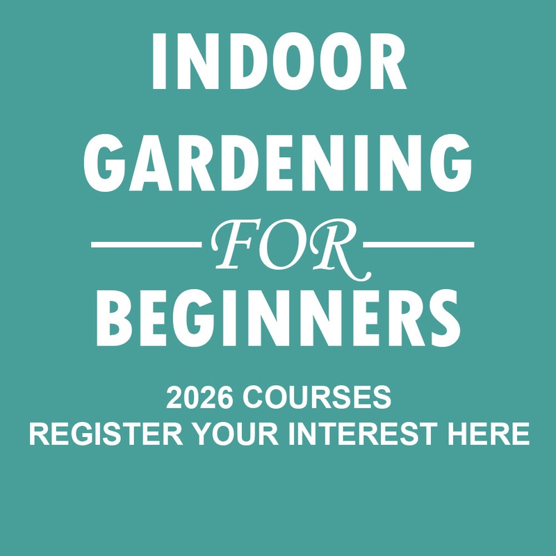 Indoor Gardening for Beginners Register Your Interest For 2026