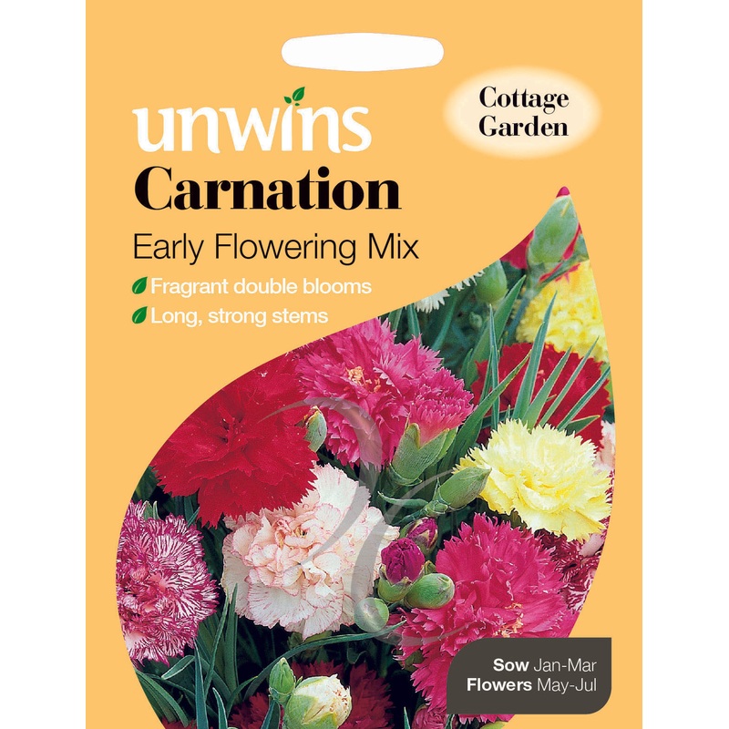 Carnation Early Flowering Mix