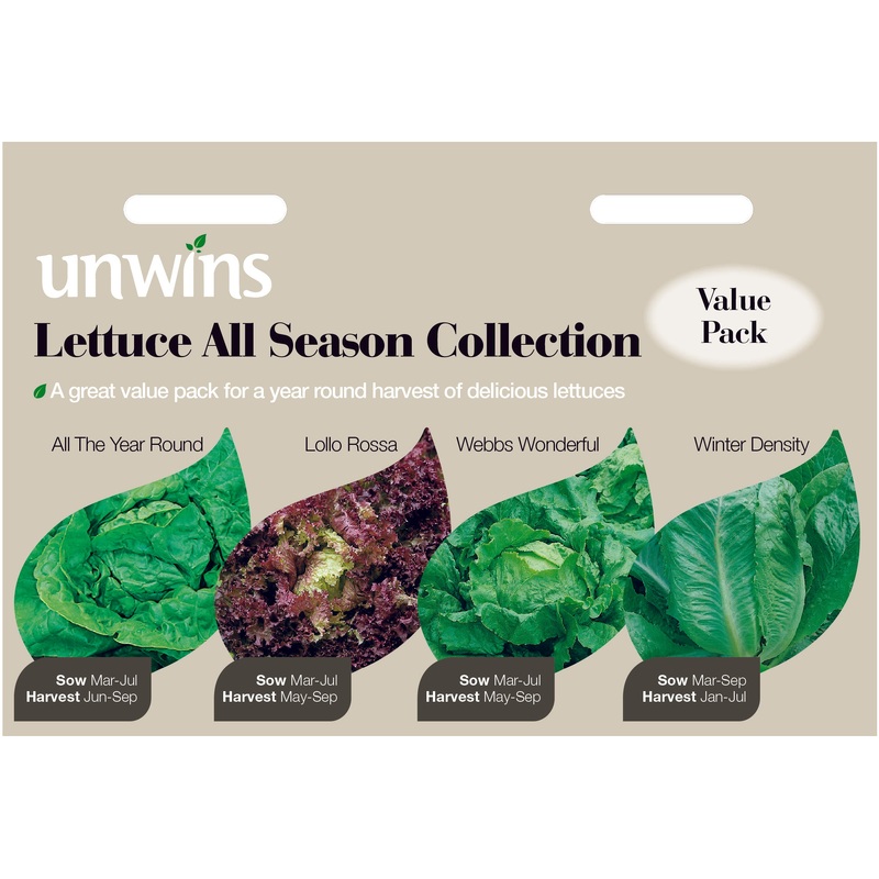 Lettuce All Season Collection