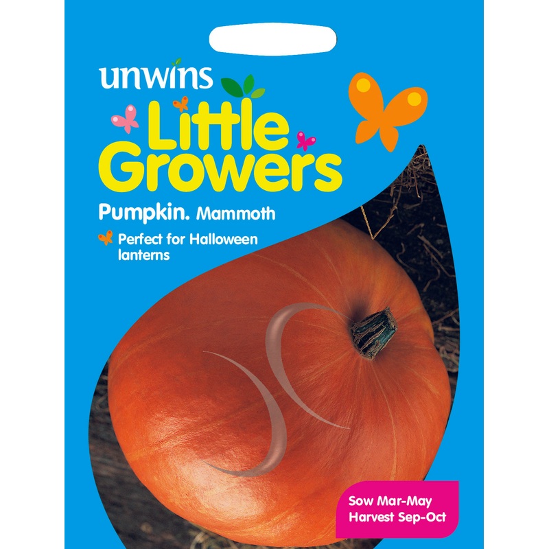 Little Growers Pumpkin Mammoth