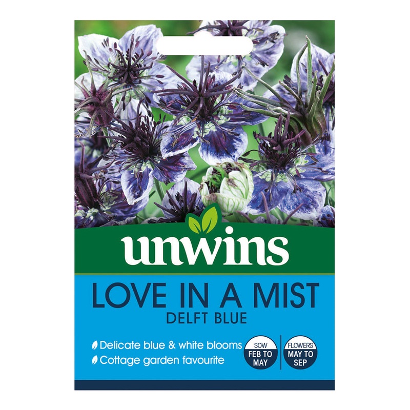 Love in a Mist - Delf Blue