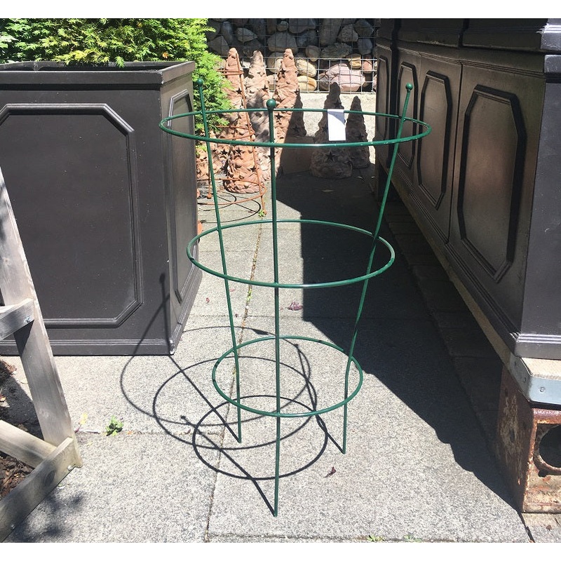 Paeony support green large