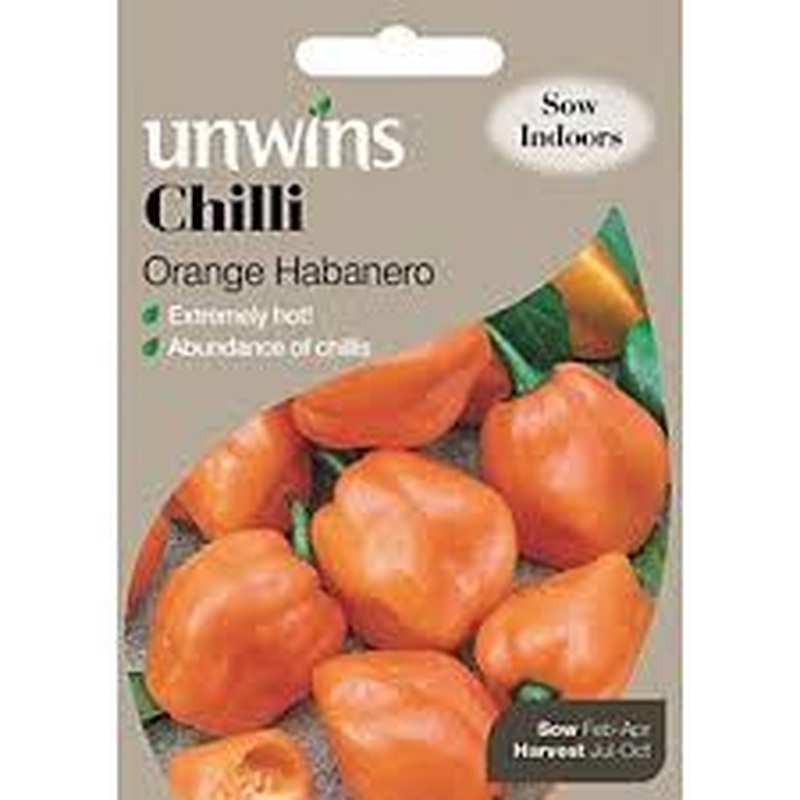 Pepper (Chilli) Orange Habanero