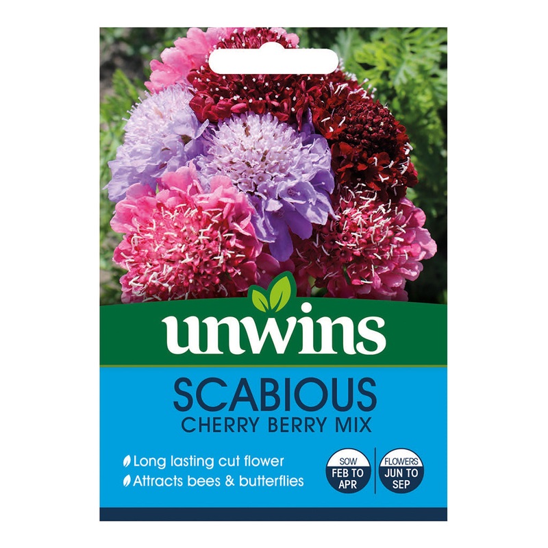 Scabiosa Cherry Berry Mix