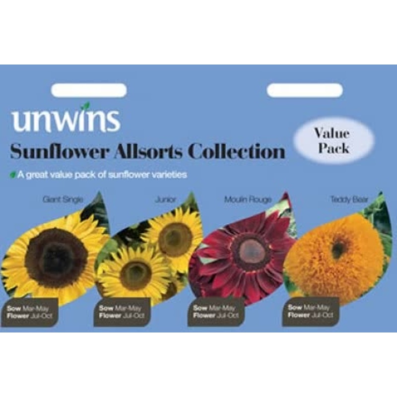 Sunflower Allsorts Collection