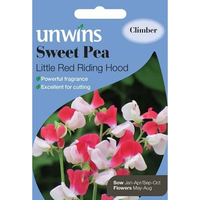 Sweet Pea Little Red Riding Hood
