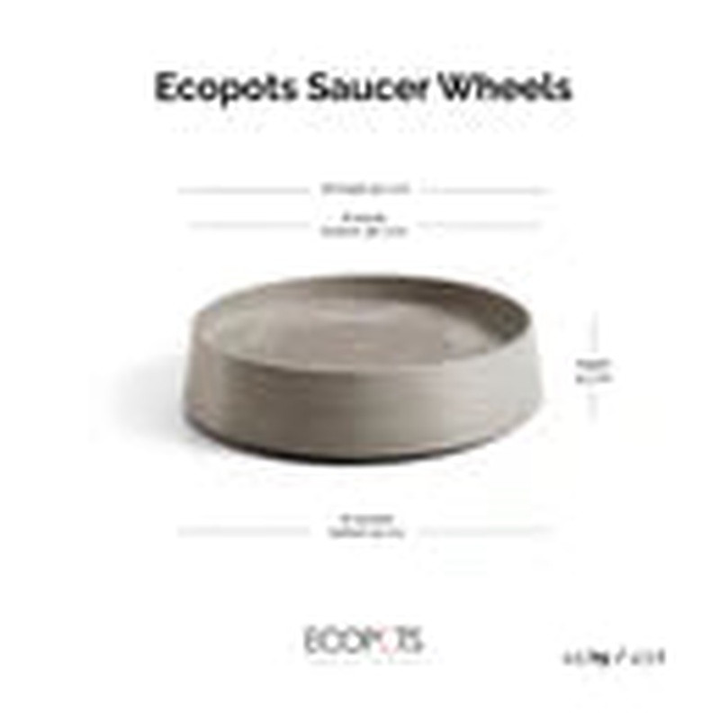 Saucer Oslo Wheels 55 Taupe