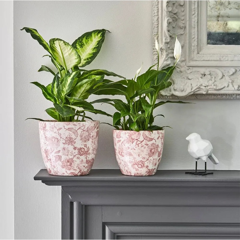 Monza Vintage Rose Indoor Ceramic 17cm Pot