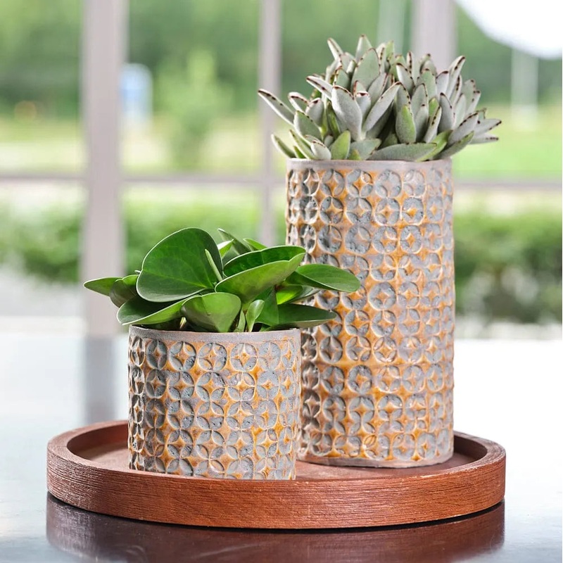 Terni Mustard Indoor Ceramic 14cm Pot