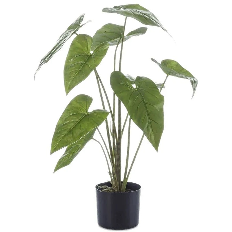 Alocasia Zebrina Artificial Plant Premium Faux 75cm Height
