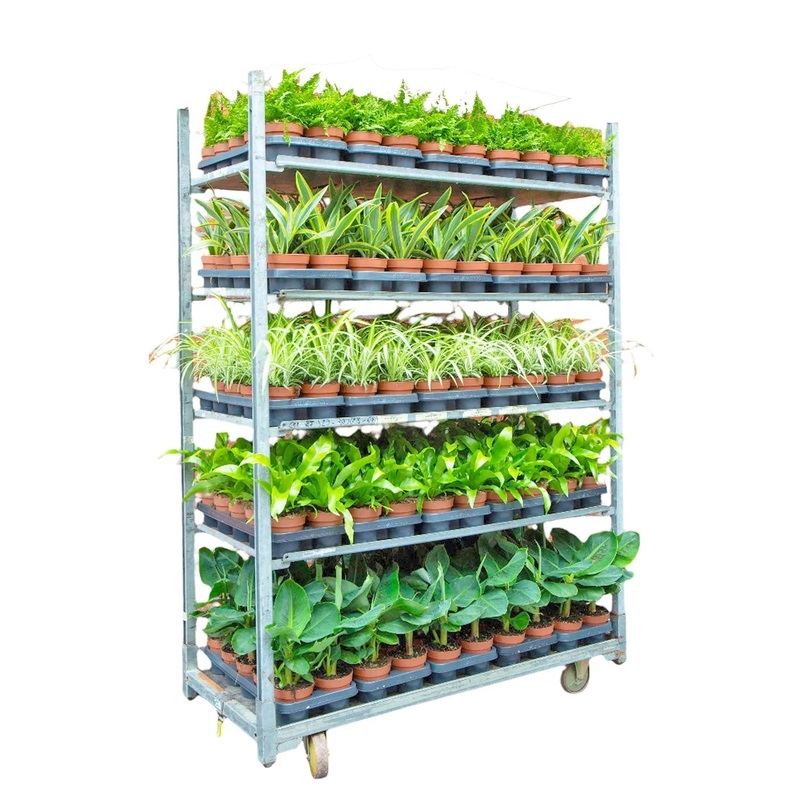 Wholesale Trolley Builder  Build Your Own Houseplant Display