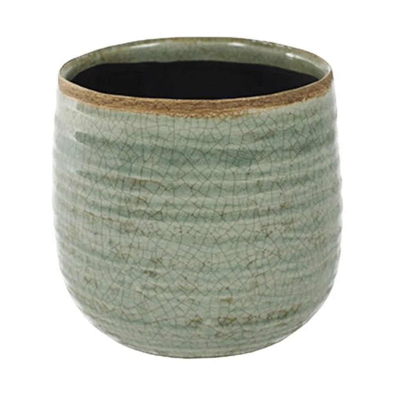 Iris Plant Pot 14cm Height 12.5cm Dia Pot Mint