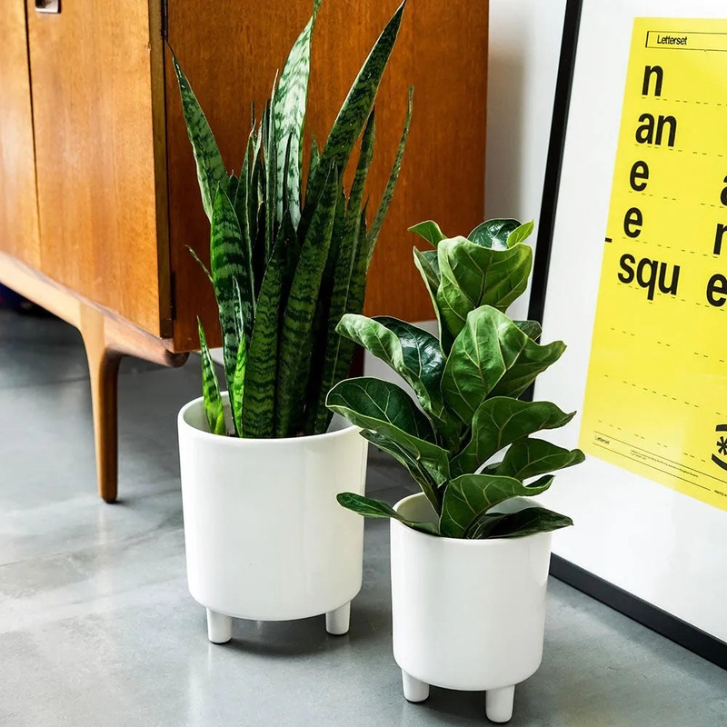 Pisa White Planter 19cm Height 16cm Dia