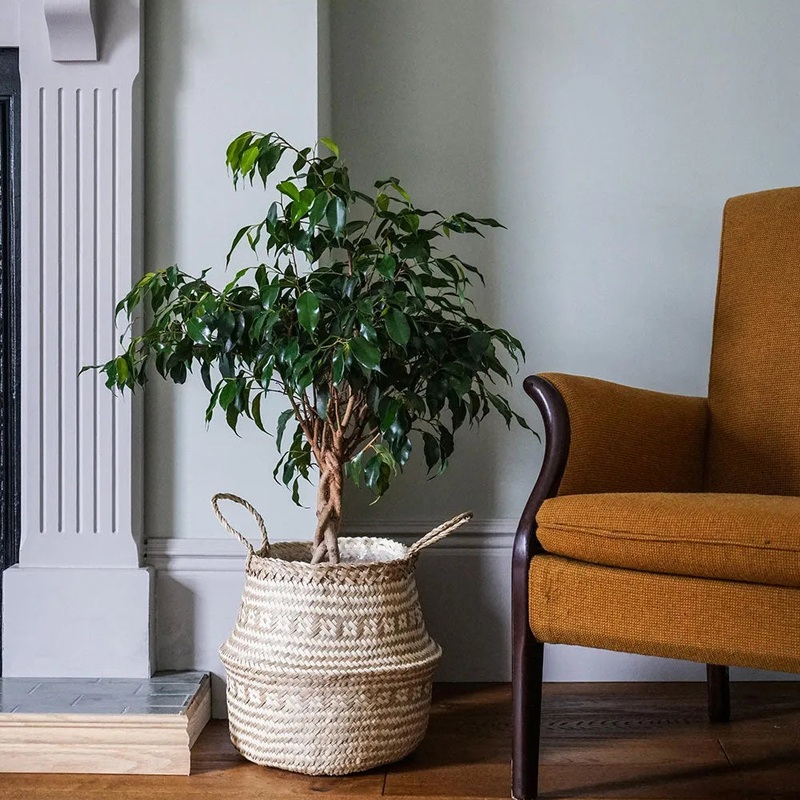 Seagrass Tribal White Lined Basket Small 25cm Height 30cm Dia