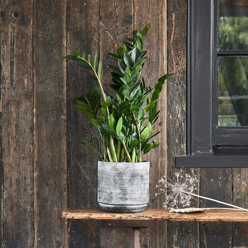 Tivoli Planter Earth 25cm Height 26cm Dia