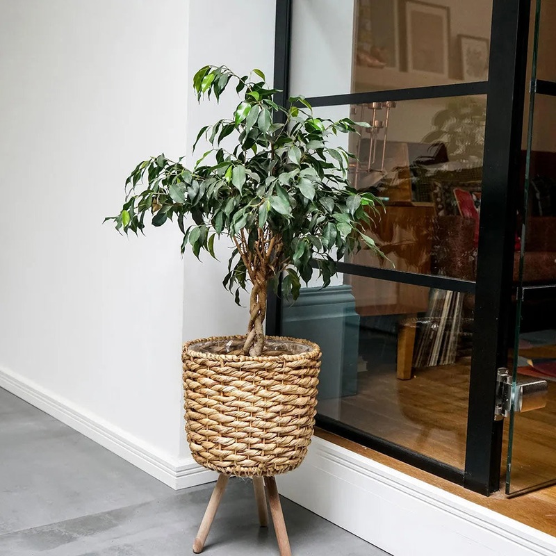 Water Hyacinth Lined basket on Legs 45cm Height 30cm Dia