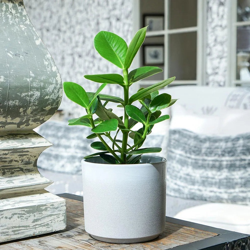 Leon White Planter 28cm