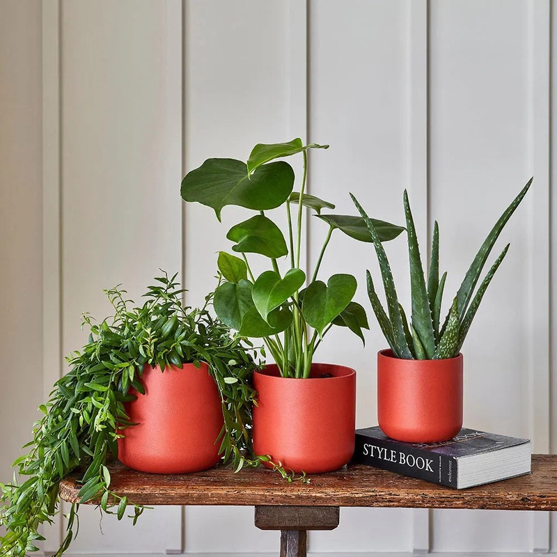 Lisbon Planter Coral 26cm Height 26cm Dia