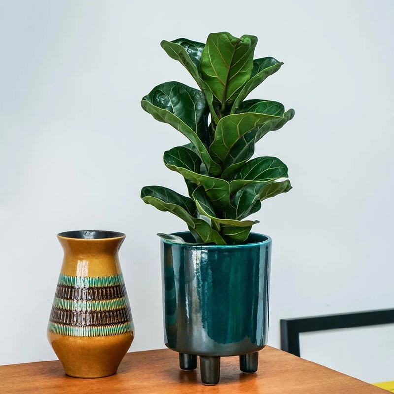 Pisa Emerald Planter 19cm Height 16cm Dia