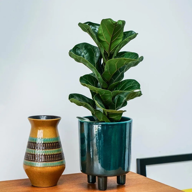 Pisa Emerald Planter 24cm Height 20cm Dia