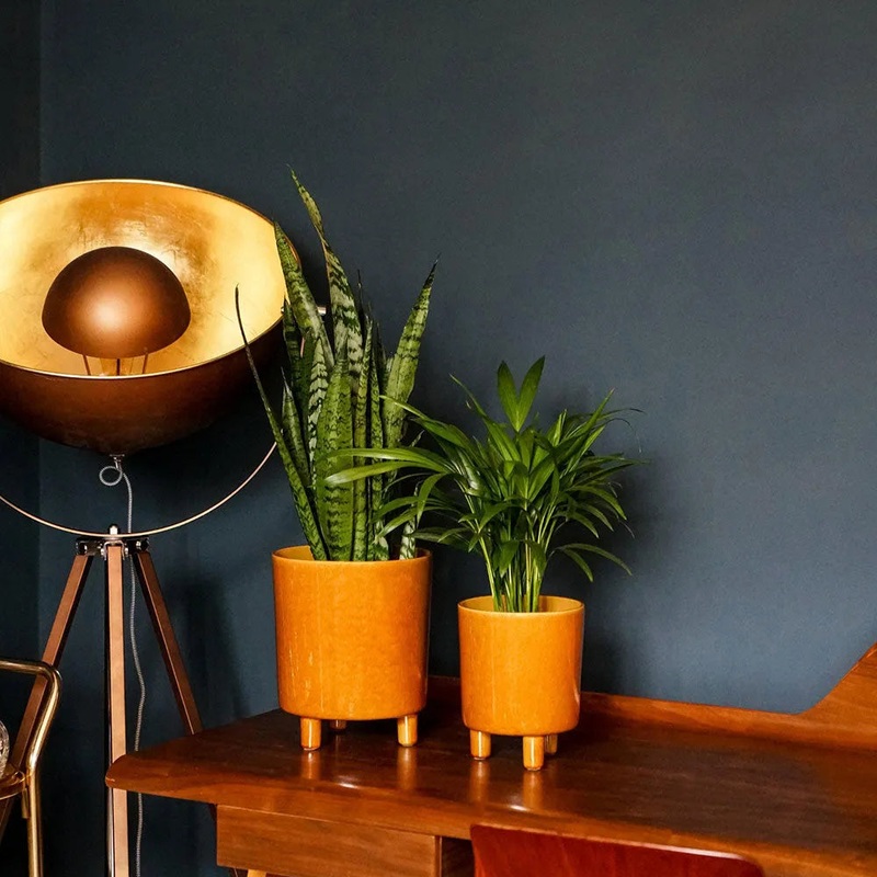 Pisa Mustard Planter 19cm Height 16cm Dia