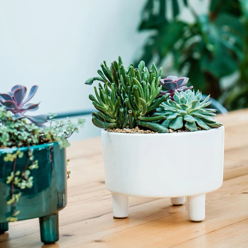 Pisa White Bowl 14cm Height 19cm Dia