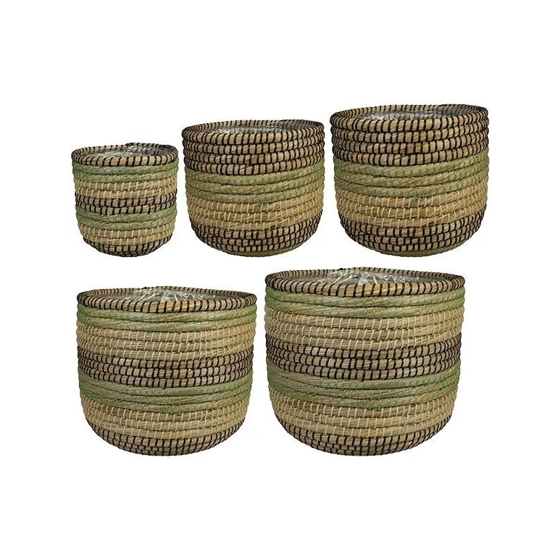 Jane Plant Pot 31cm Height cm Dia Pot Jungle (set of 5)