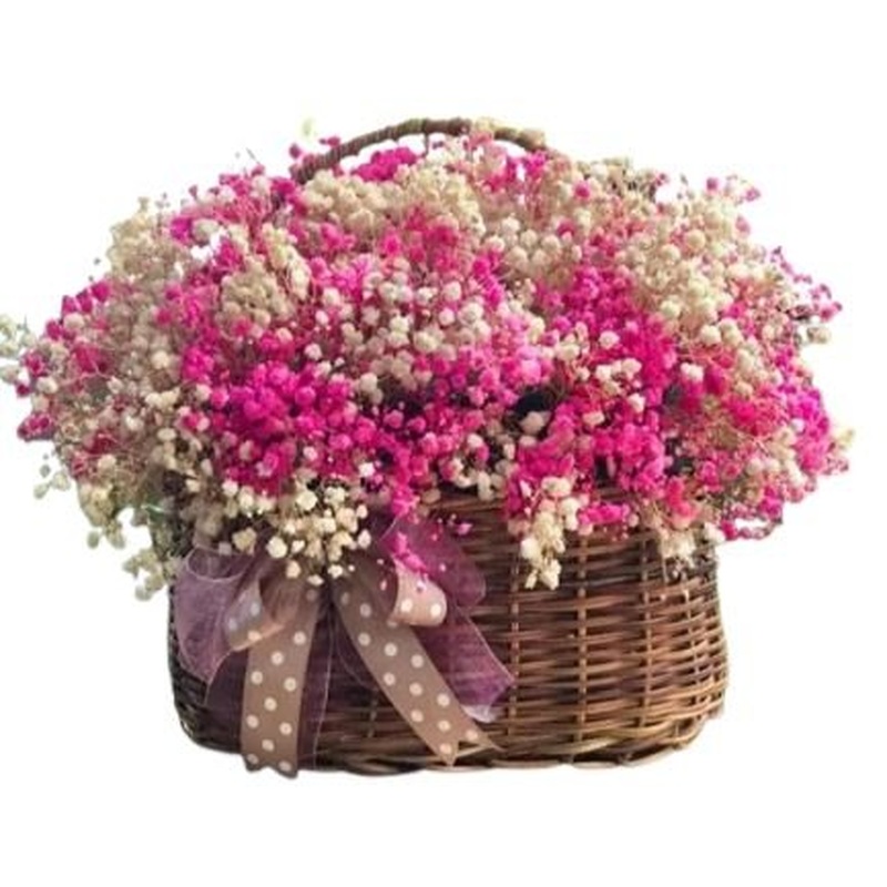Basket of Charming Gypsophila Flowers
