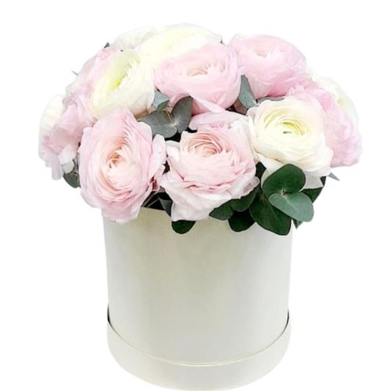 Beautiful Box of Pink and White Ranunculus