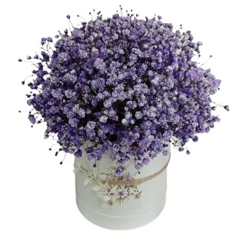 Box Of Deep Purple Gypsophila