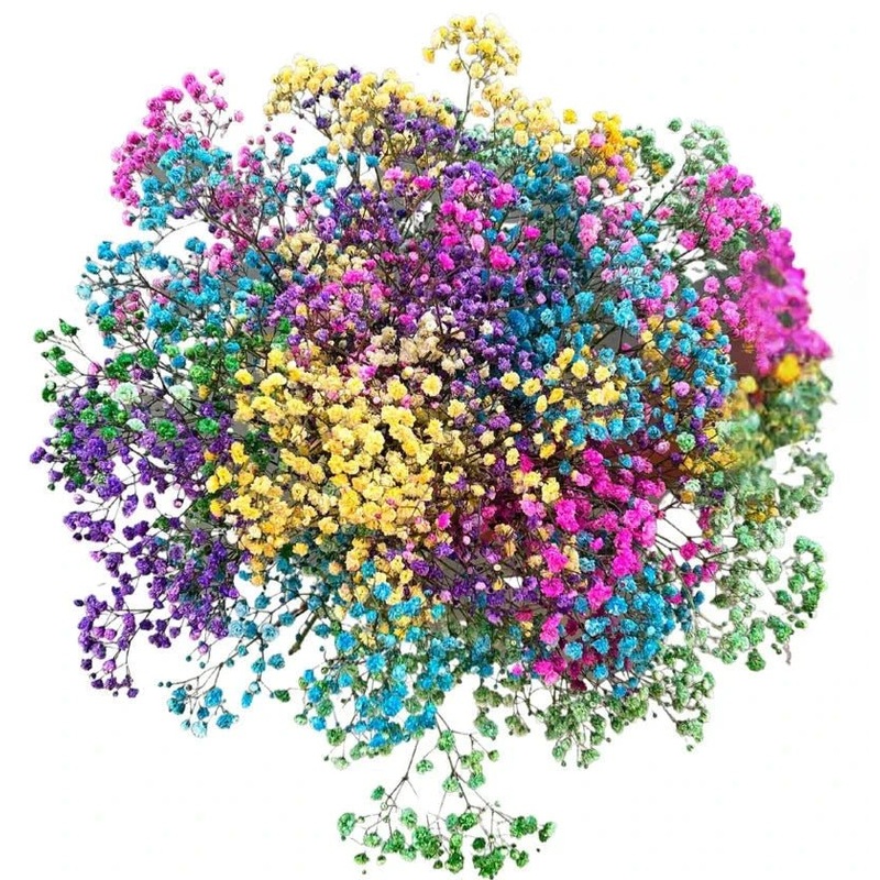 Bright Rainbow Gypsophila Bouquet