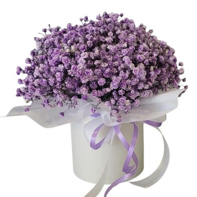 Lavender Gypsophila Box