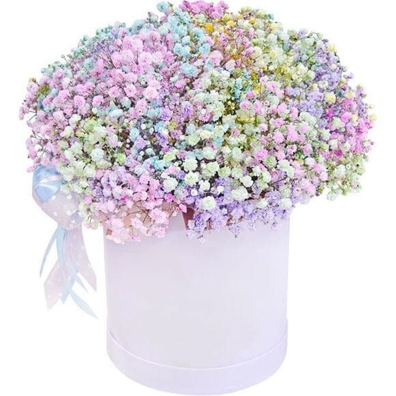 Pastel Multicolored Gypsophila Box